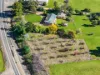 529 Olympic Hwy North, Young, NSW 2594-Image