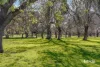 53 Alfred Crescent, Fitzroy North, Vic 3068-Image