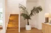 53 Balmain Street, Wooloowin, Qld 4030-Image