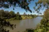 53 Bass Street, Barellan Point, Qld 4306-Image