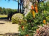 53 Bay Road, Eagle Point, Vic 3878-Image
