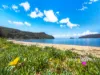 53 Bay Street, Patonga, NSW 2256-Image