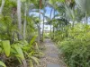 53 Bibimulya Street, Bellara, Qld 4507-Image