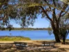 53 Careniup Avenue, Gwelup, WA 6018-Image