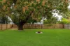53 Carr Street, Hermit Park, Qld 4812-Image