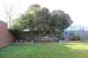 53 Darlimurla Avenue, Newborough, Vic 3825-Image