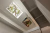 53 Ferry Road, Glebe, NSW 2037-Image