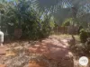 53 Forrest Street, Broome, WA 6725-Image