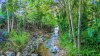 53 Granadilla Drive, Earlville, Qld 4870-Image