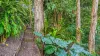 53 Granadilla Drive, Earlville, Qld 4870-Image