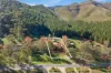 53 Great Alpine Road, Myrtleford, Vic 3737-Image