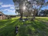 53 Kens Road, Boorara Brook, WA 6262-Image