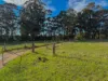 53 Kens Road, Boorara Brook, WA 6262-Image