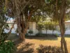 53 King Street, Cranbrook, WA 6321-Image