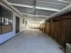 53 Lisgar Street, Merrylands, NSW 2160-Image