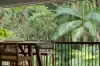 53 Martins Creek Road, Buderim, Qld 4556-Image