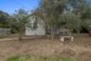 53 McLachlan Street, Apollo Bay, Vic 3233-Image