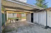 53 Morgan Street, Petersham, NSW 2049-Image