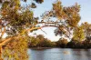 53 Oakdale Circuit, Currimundi, Qld 4551-Image