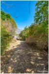 53 Old Capricorn Highway, Gracemere, Qld 4702-Image