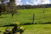 53 Parker Crescent, Berry NSW 2535-Image