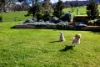 53 Parker Crescent, Berry NSW 2535-Image