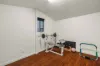 53 Patricia Avenue, Camden Park, SA 5038-Image