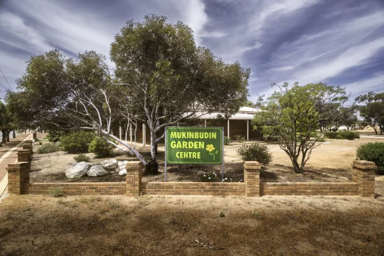 53 Shadbolt Street, Mukinbudin, WA 6479