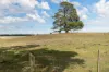53 Sobeys Road, Napoleons, Vic 3352-Image