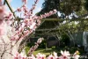 53 Somerville Lane, Riddells Creek, Vic 3431-Image