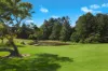 53 Sproule Drive, Alstonvale, NSW 2477-Image