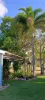 53 Tait Road, Airville, Qld 4807-Image