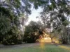 53 Tait Road, Airville, Qld 4807-Image