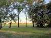 53 Tait Road, Airville, Qld 4807-Image