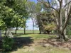 53 Tait Road, Airville, Qld 4807-Image