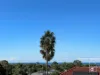 53 Willcath Street, Bulli, NSW 2516-Image