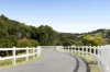 53 Yvonne Street, Highworth, Qld 4560-Image