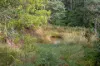 530 Bakers Creek Road, Lucaston, Tas 7109-Image
