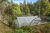 530 Bakers Creek Road, Lucaston, Tas 7109-Image