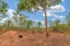 530 Miles Road, Eva Valley, NT 0822-Image