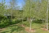 531 Ellsmore Road, Exeter, NSW 2579-Image