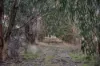 532 Dunnstown Yendon Road, Yendon, Vic 3352-Image