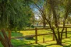 534 Cobram South Road, Cobram, Vic 3644-Image
