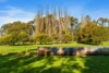 534 Cobram South Road, Cobram, Vic 3644-Image