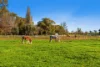 534 Cobram South Road, Cobram, Vic 3644-Image