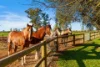 534 Cobram South Road, Cobram, Vic 3644-Image
