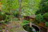 534 Cowper Street, Albury, NSW 2640-Image