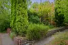 534 Cowper Street, Albury, NSW 2640-Image