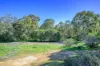 535  Thomas Road, Parkerville, WA 6081-Image