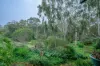 535  Thomas Road, Parkerville, WA 6081-Image